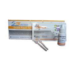 Express test for Helicobacter pylori